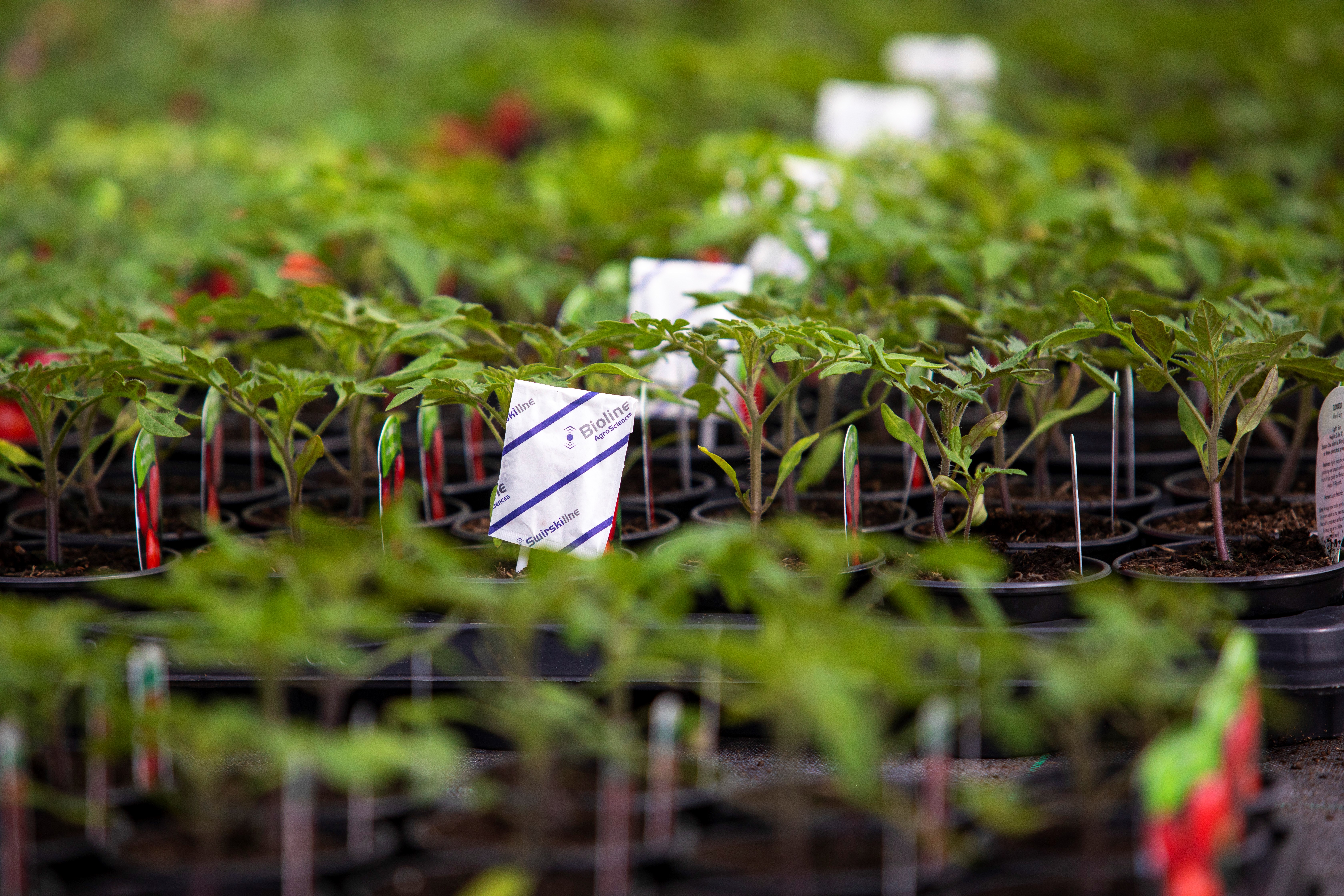 IPM support and advice