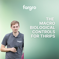 Alex Matthews: Macrobiological Controls for Thrips
