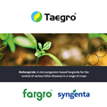 Taegro product flyer 2021