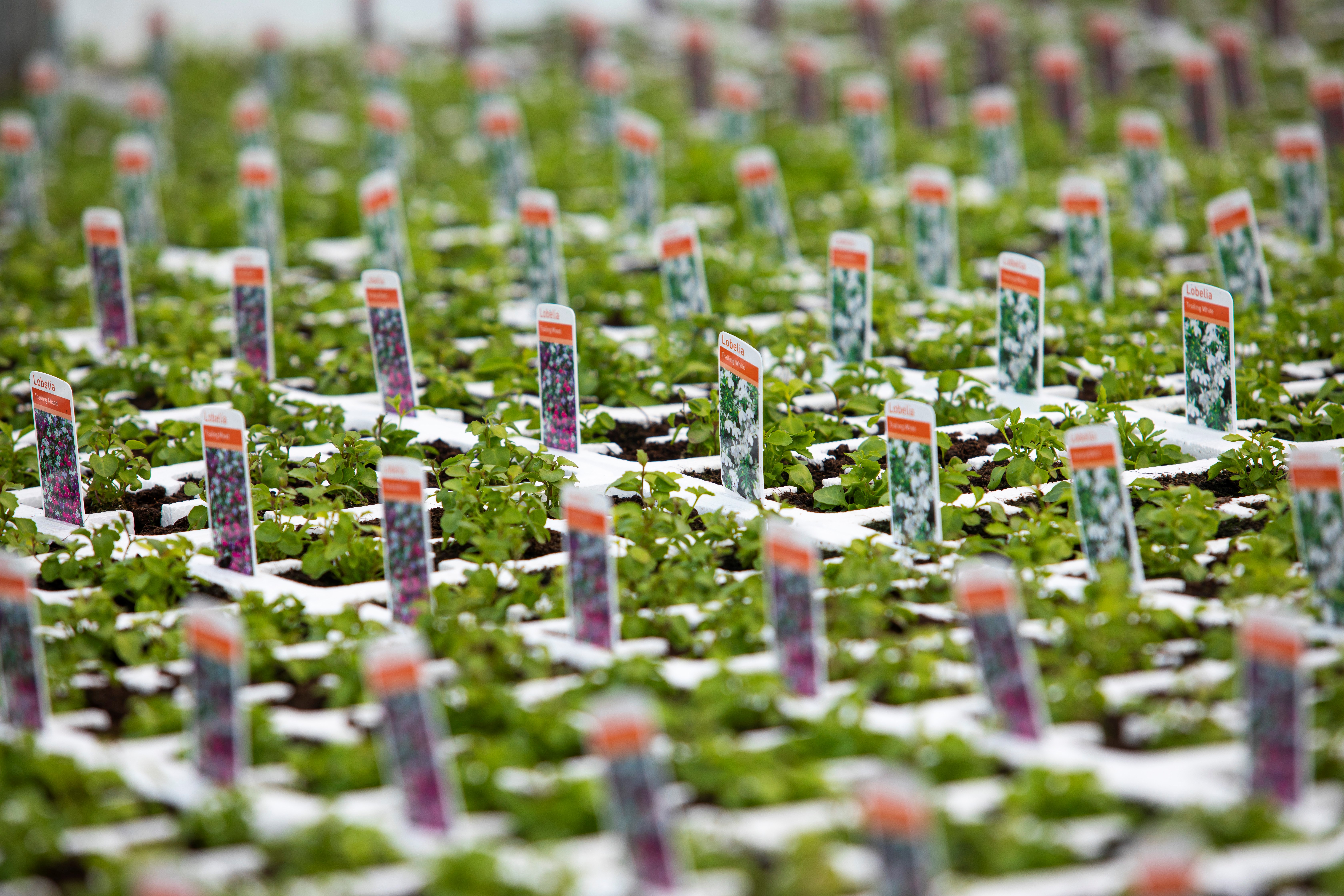 Crop protection product information